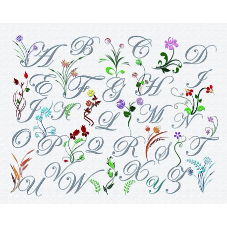 ABC FLEURS SAUVAGES 50X60