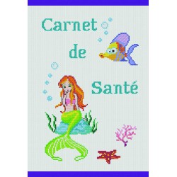 CARNET SANTE DINOSAURES 16X24