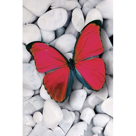 DIAMOND PAINTING - 20X30CM