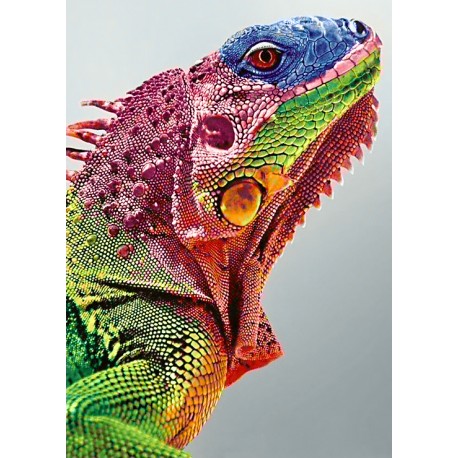 DIAMOND PAINTING - 27X38CM